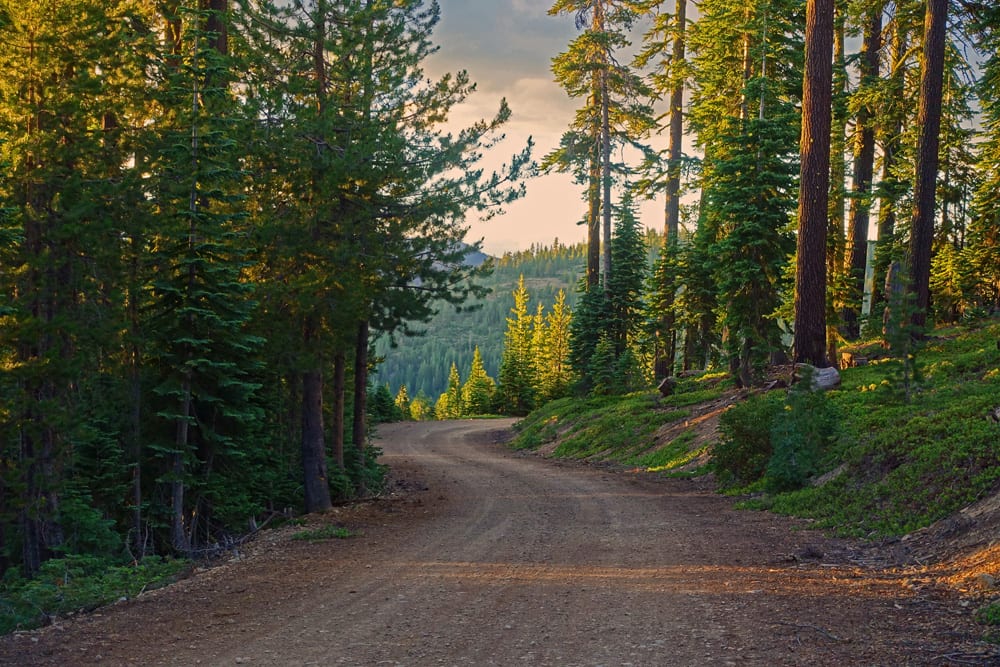 Dirt roads on Shasta-Trinity National Forest lead to great sites for dispersed camping.