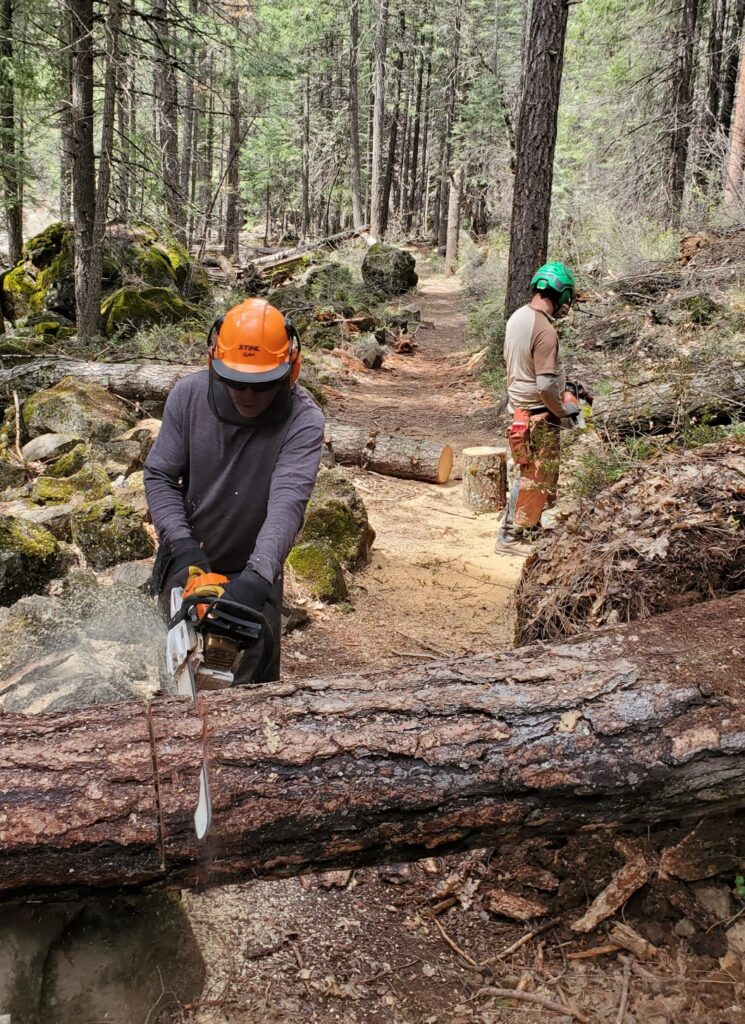 Chainsaw Crew
